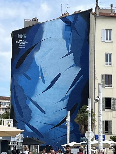 Le port de Toulon